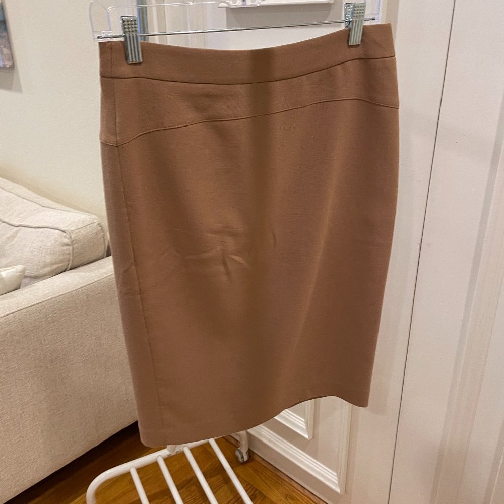 Ann Taylor Pencil Skirt (Retail: $98)